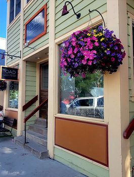 Toad Property Management